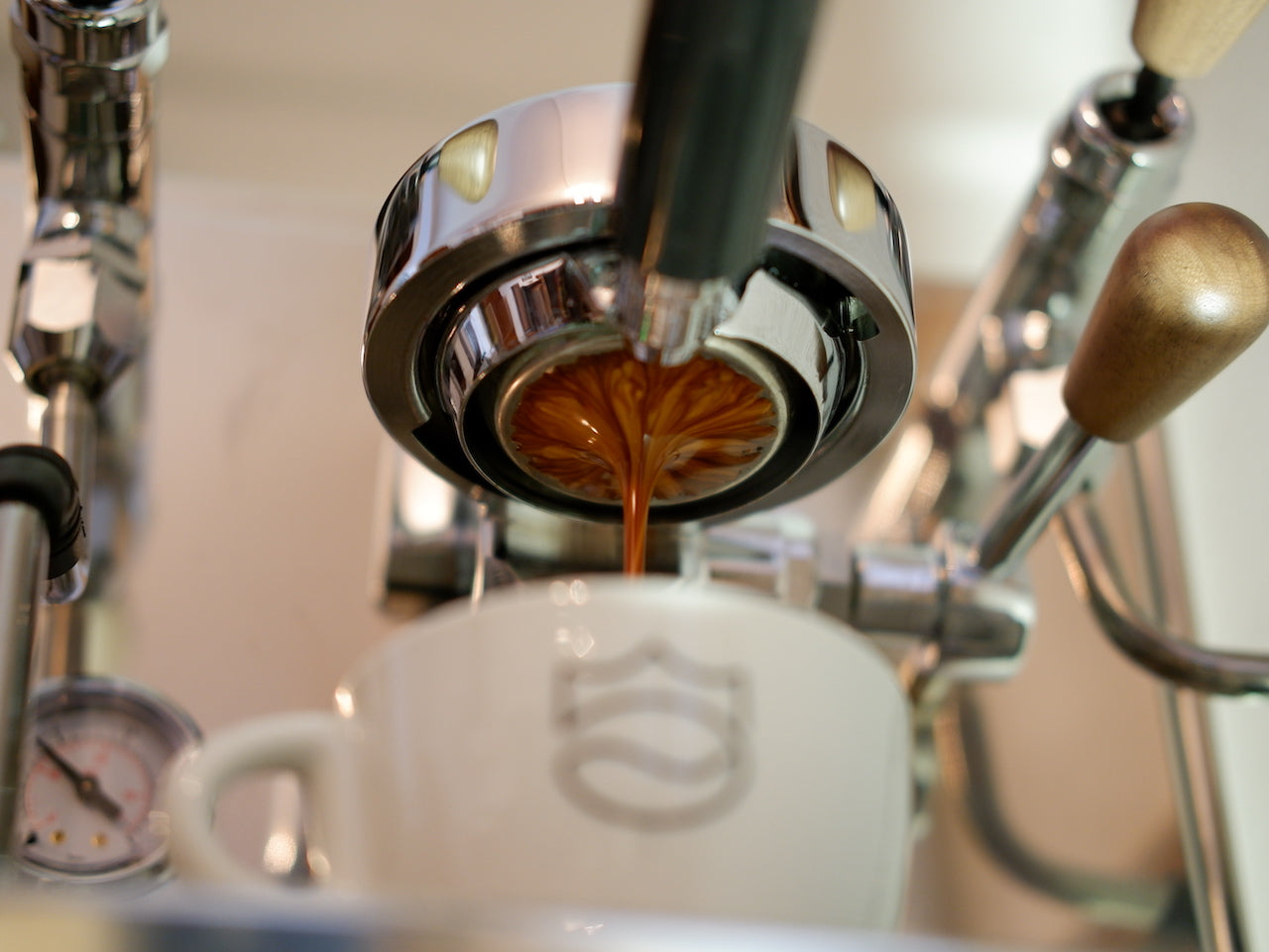 Kaffee für die besonderen Momente. Feinster Specialty Coffee, entkoffeinierte Bohnen die den Namen nicht verdienen oder unser extra starker Booster für dein Workout. Kaffeebohnen die beeindrucken. | Kings-Coffee